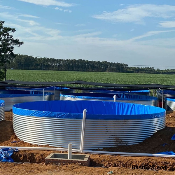 Row of galvanized canvas fish ponds outdoors under a shade structure