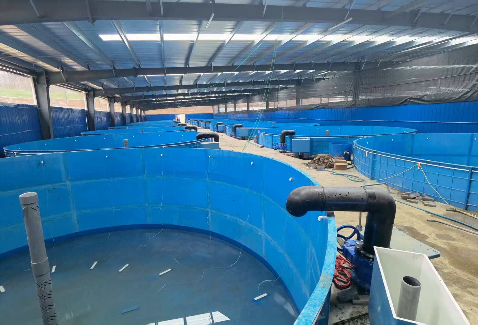 FRP fish tank, blue modular unit staged in the factory before delivery