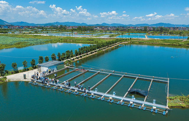 Aerial layout of an in-pond raceway system: parallel channels, one walkway, bank equipment shed