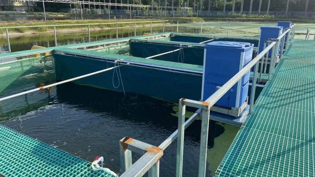 Raceway channels equipped with automatic feeders