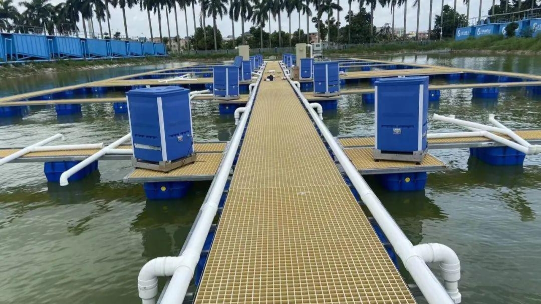 Completed in-pond raceway system site with automatic feeders, walkways and piping