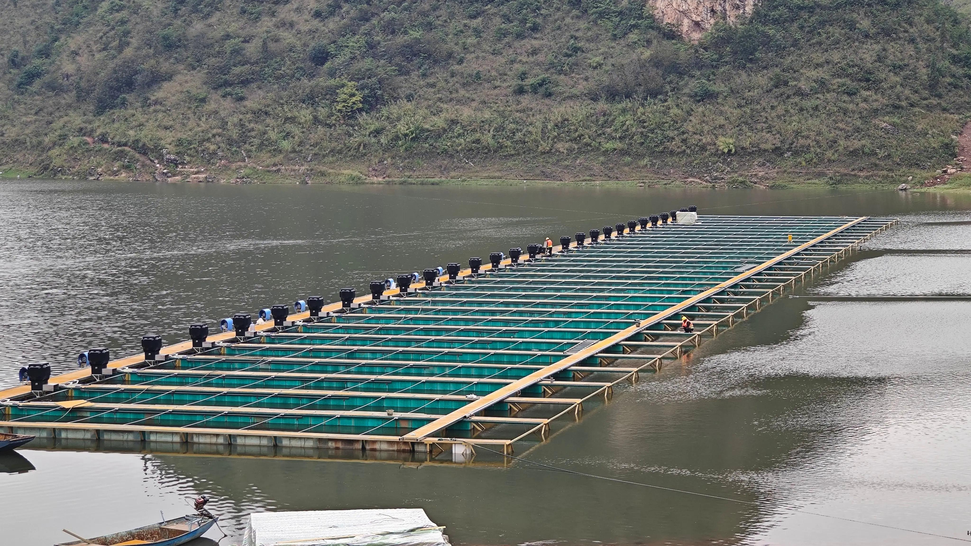 In-pond raceway system: long raceway lanes installed on open water